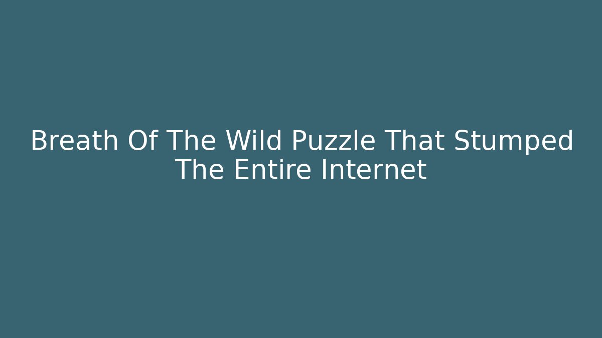 Breath Of The Wild Puzzle That Stumped The Entire Internet