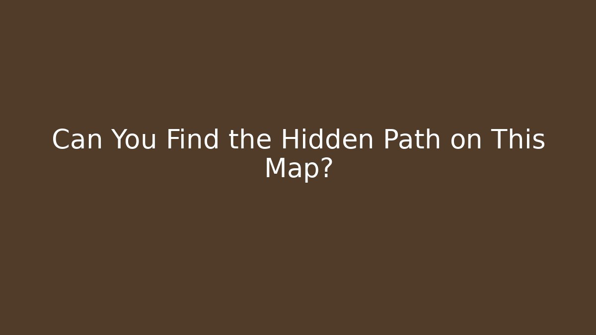 Can You Find the Hidden Path on This Map?