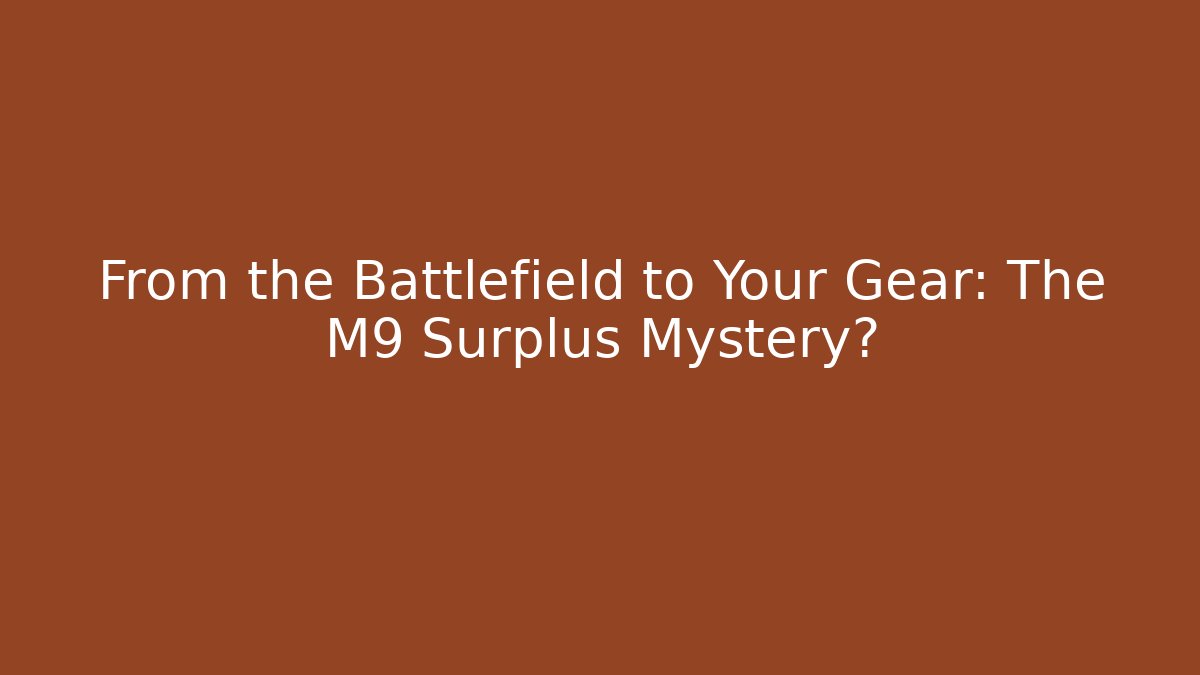 From the Battlefield to Your Gear: The M9 Surplus Mystery?