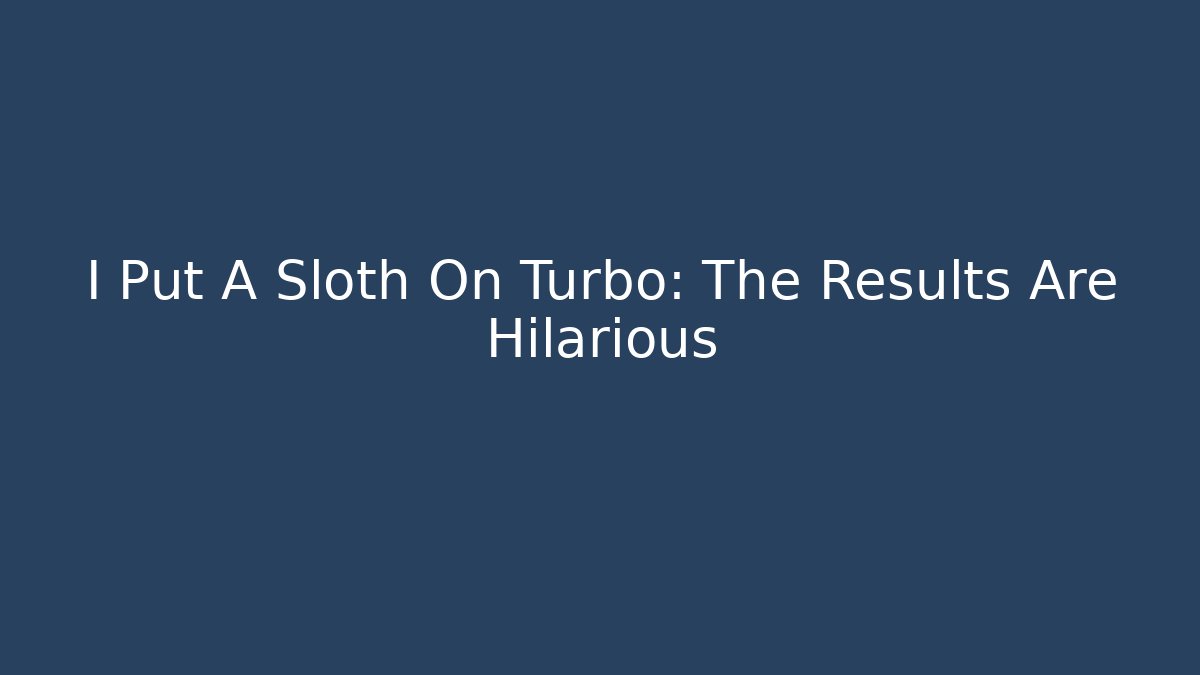 I Put A Sloth On Turbo: The Results Are Hilarious