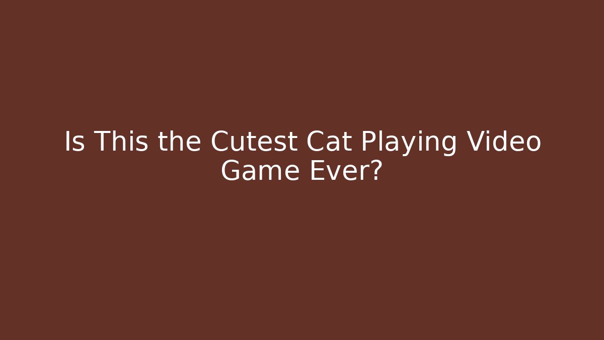 Is This the Cutest Cat Playing Video Game Ever? - Sports History Weekly