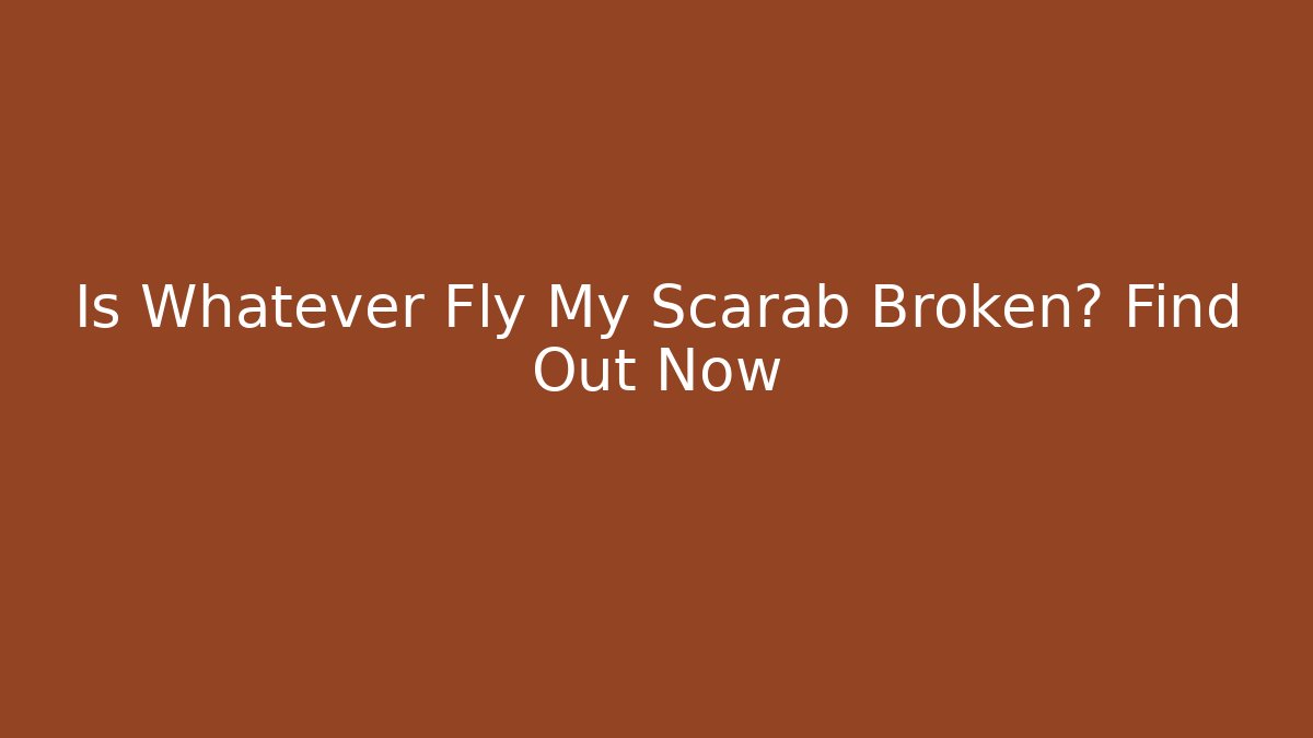 Is Whatever Fly My Scarab Broken? Find Out Now - Sports History Weekly