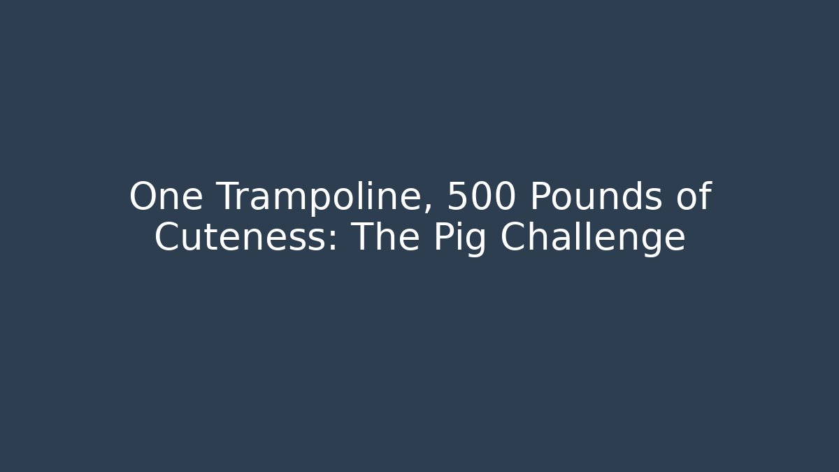 One Trampoline, 500 Pounds of Cuteness: The Pig Challenge