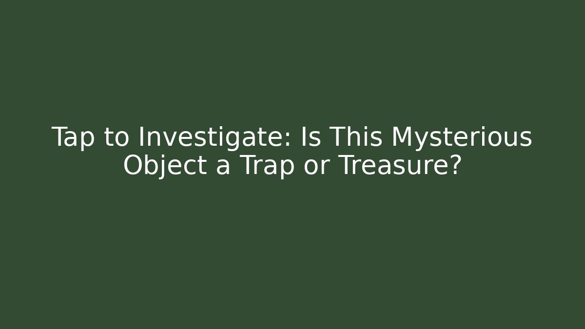 Tap to Investigate: Is This Mysterious Object a Trap or Treasure?