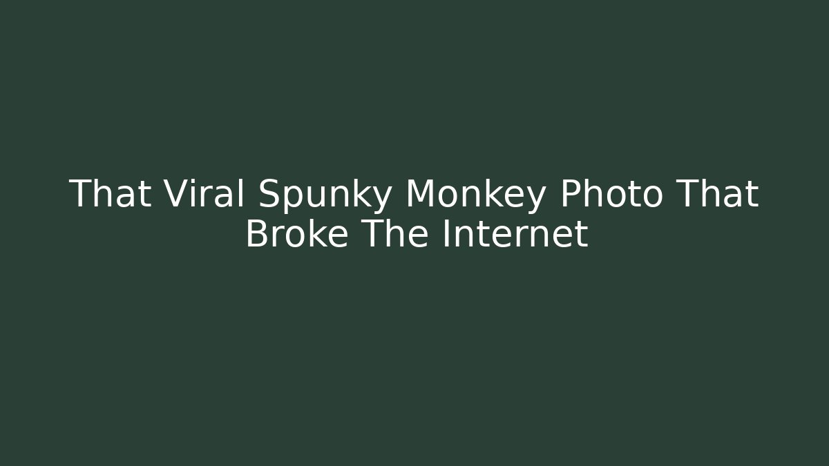 That Viral Spunky Monkey Photo That Broke The Internet