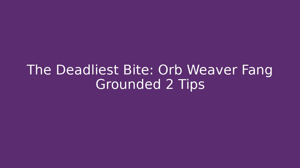 The Deadliest Bite: Orb Weaver Fang Grounded 2 Tips