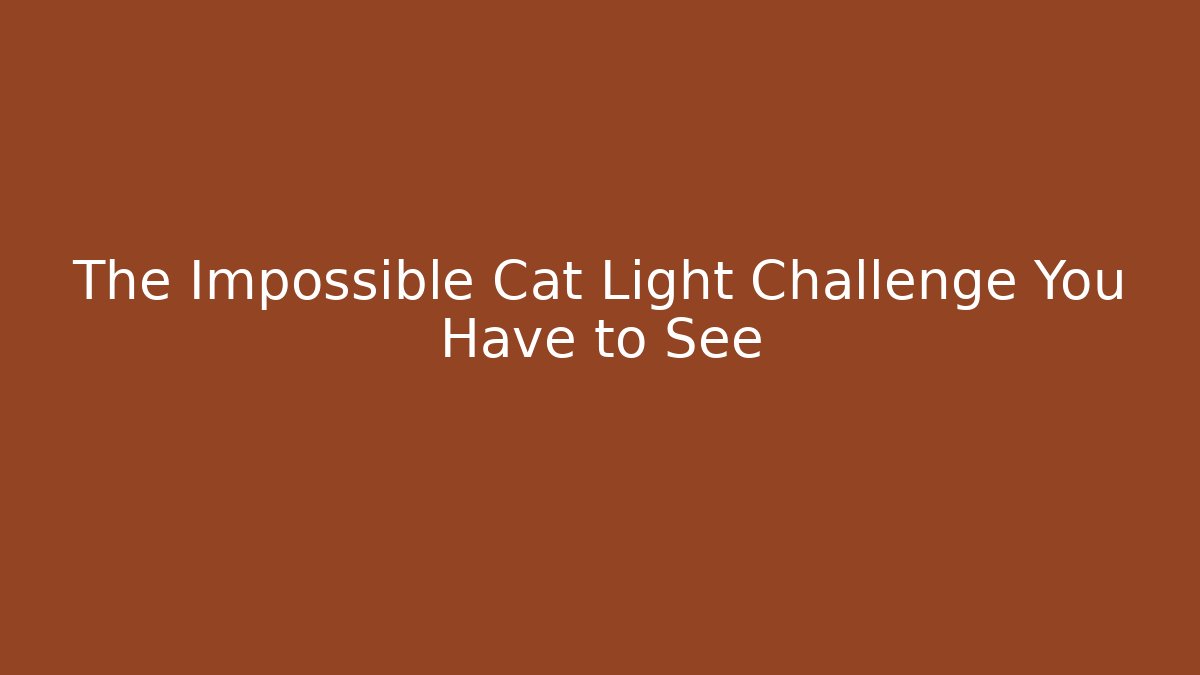 The Impossible Cat Light Challenge You Have to See