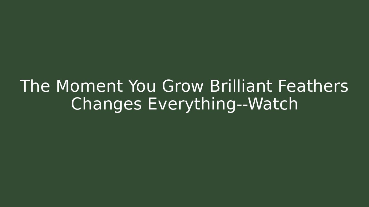 The Moment You Grow Brilliant Feathers Changes Everything—Watch