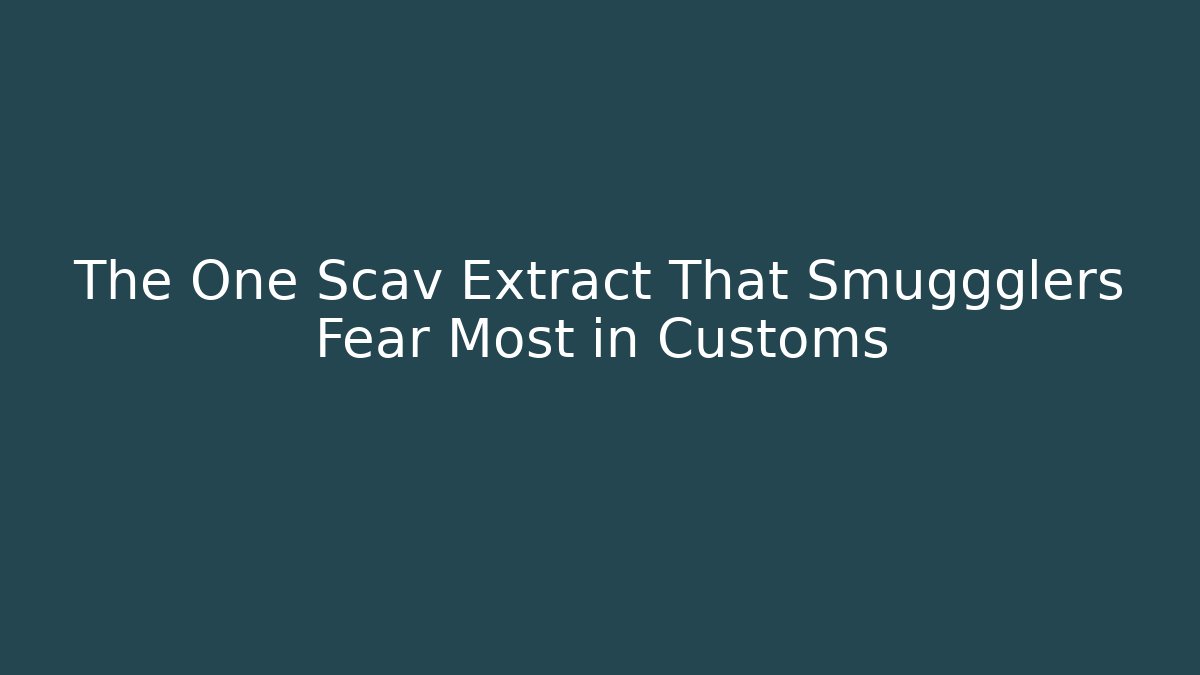 The One Scav Extract That Smuggglers Fear Most in Customs