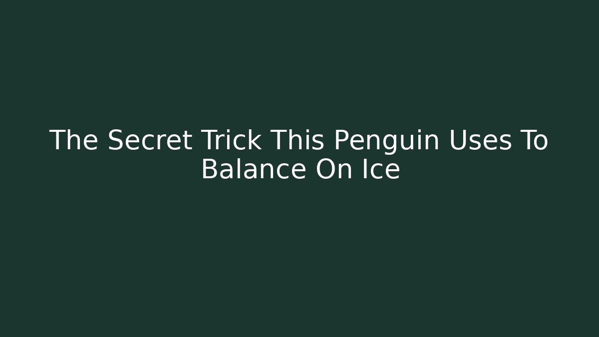 The Secret Trick This Penguin Uses To Balance On Ice