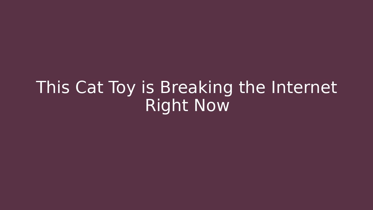 This Cat Toy is Breaking the Internet Right Now - Sports History Weekly