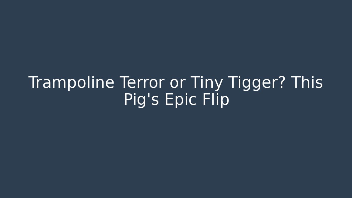 Trampoline Terror or Tiny Tigger? This Pig's Epic Flip - Sports History Weekly
