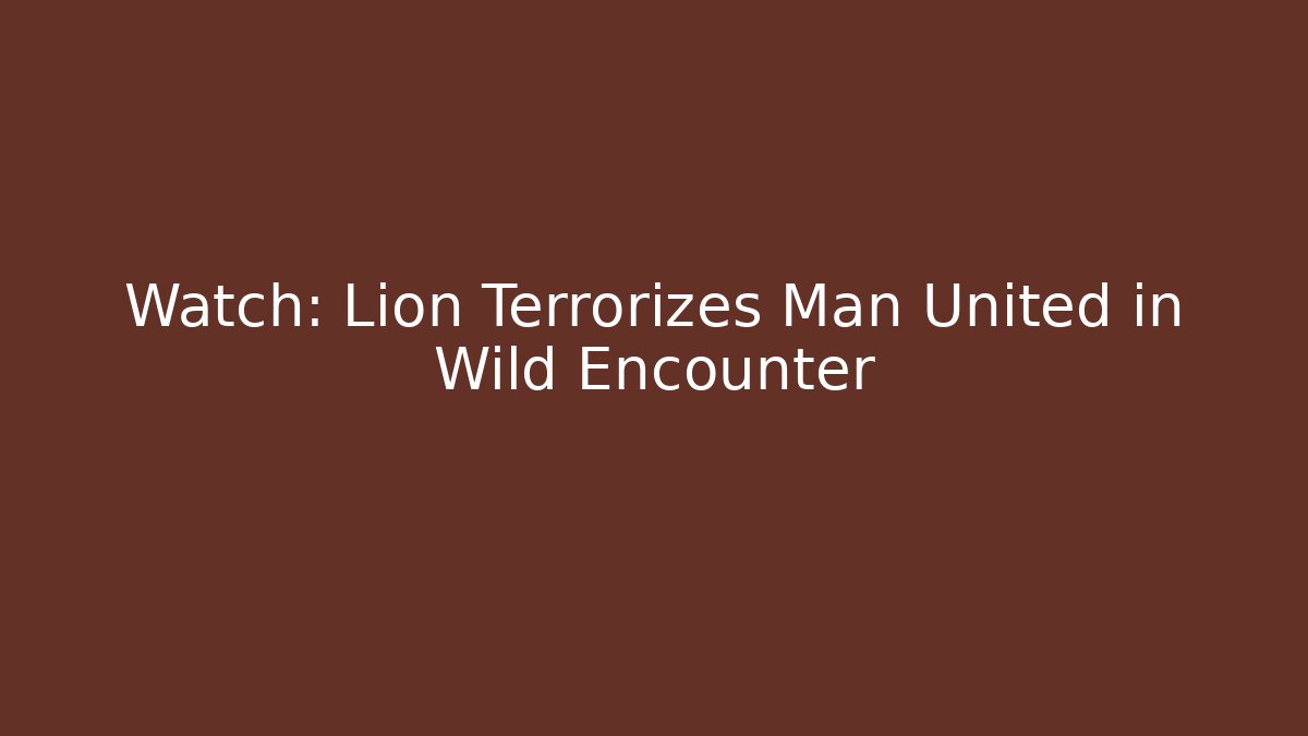 Watch: Lion Terrorizes Man United in Wild Encounter