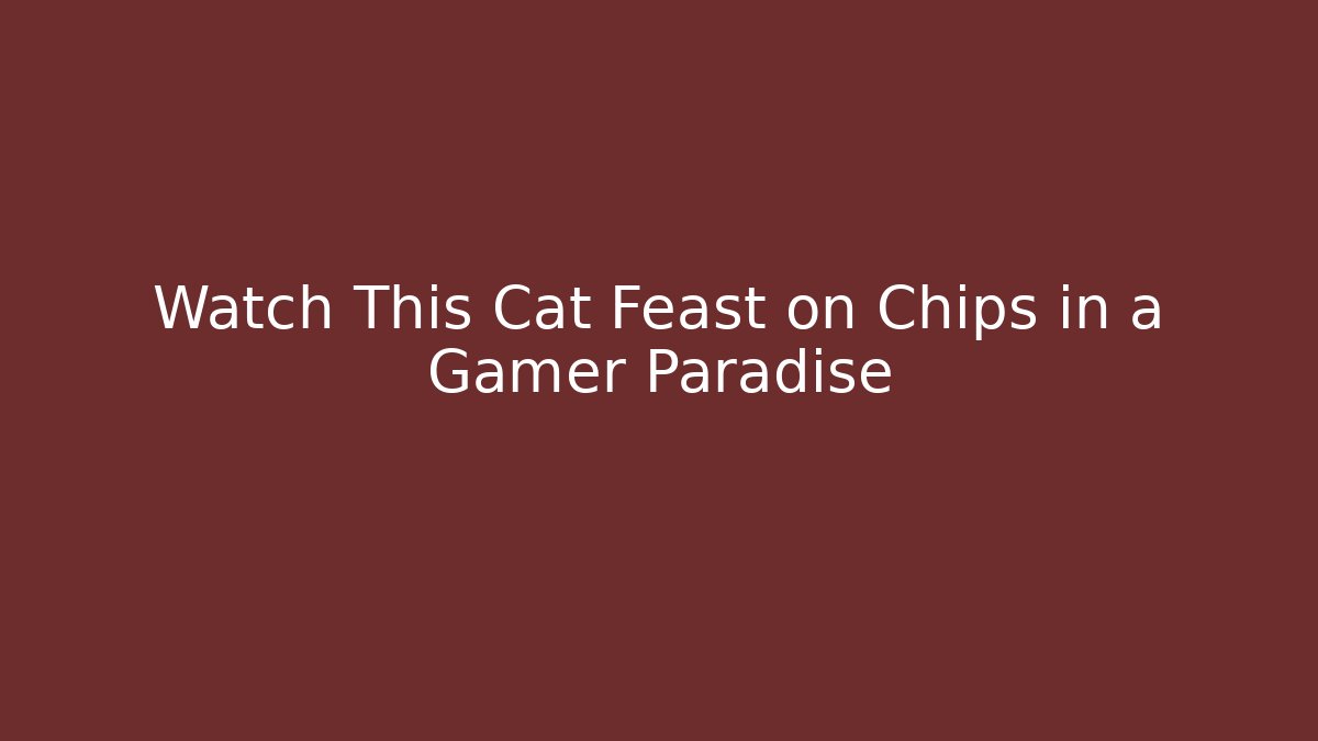 Watch This Cat Feast on Chips in a Gamer Paradise