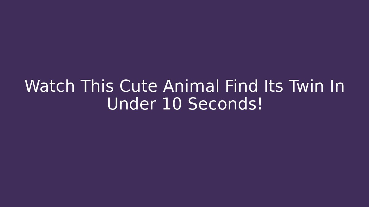 Watch This Cute Animal Find Its Twin In Under 10 Seconds!