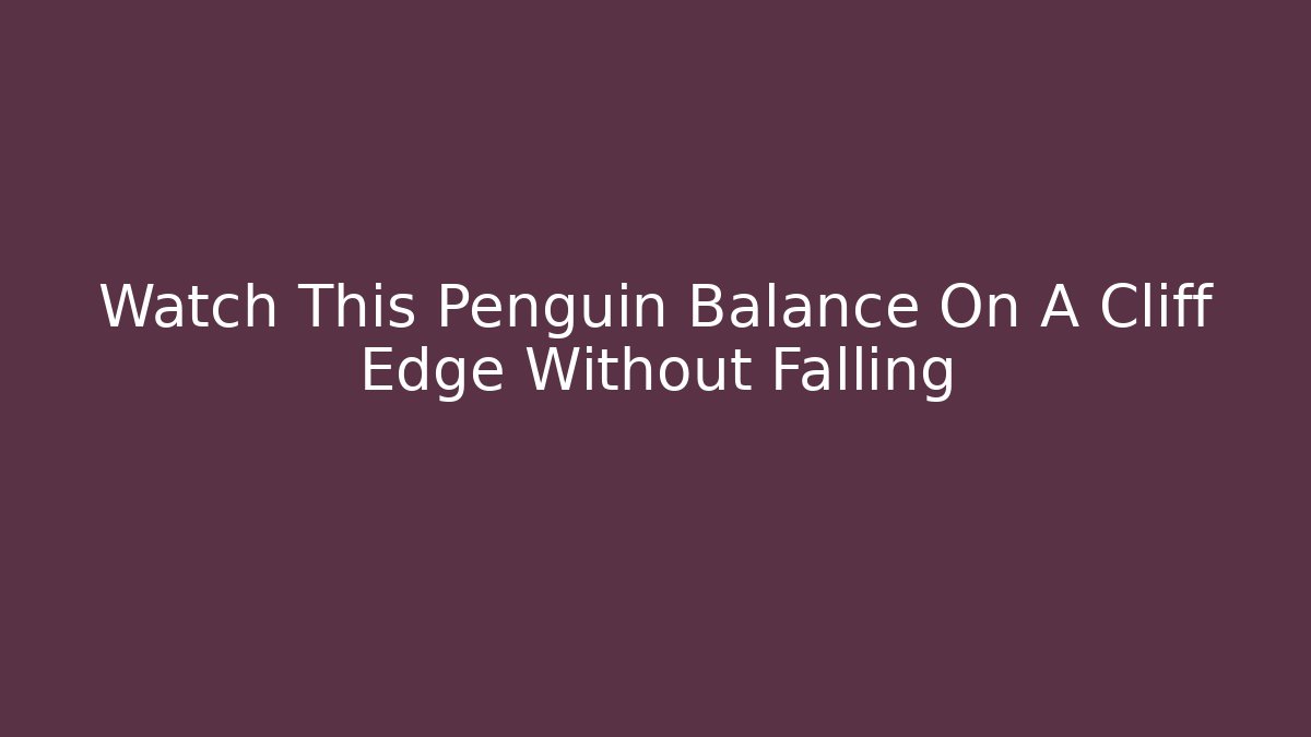 Watch This Penguin Balance On A Cliff Edge Without Falling