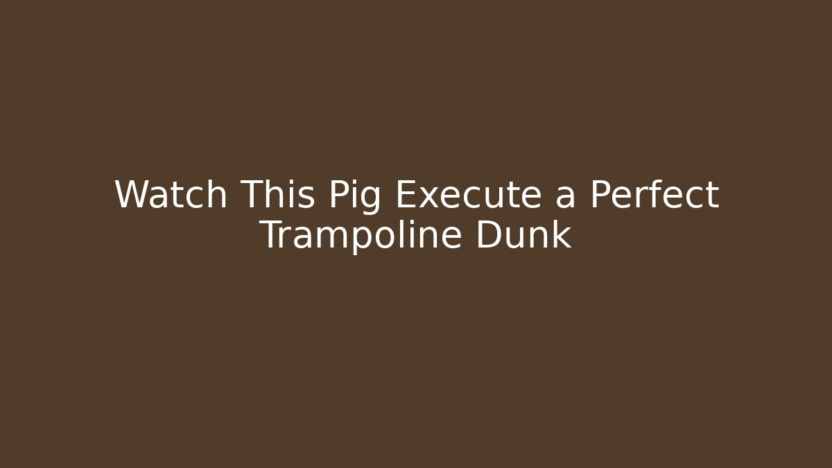 Watch This Pig Execute a Perfect Trampoline Dunk - Sports History Weekly