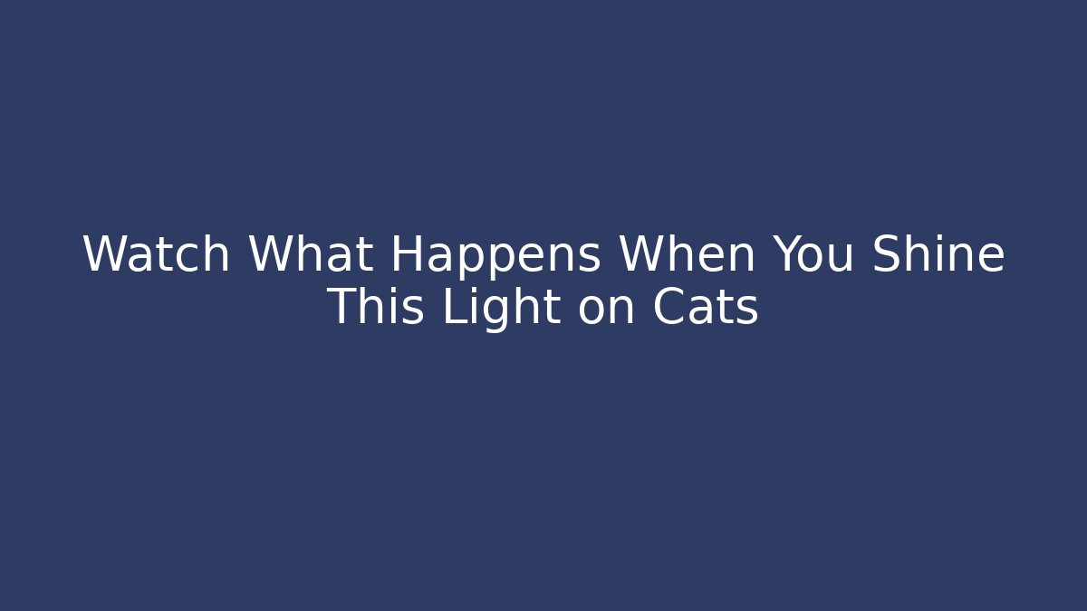 Watch What Happens When You Shine This Light on Cats