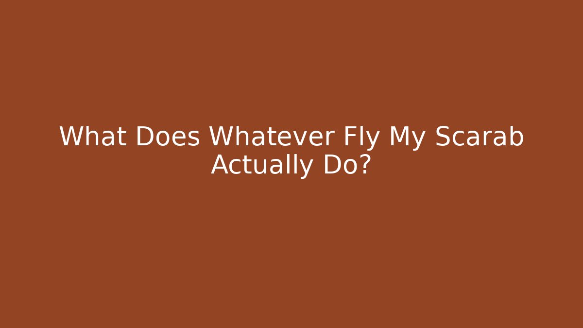 What Does Whatever Fly My Scarab Actually Do?
