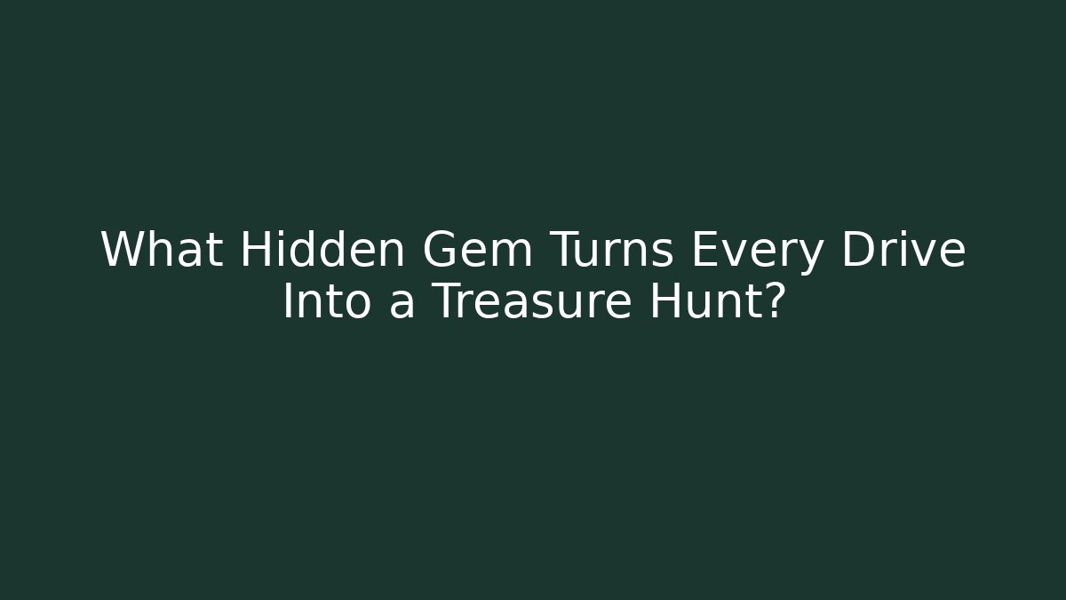 What Hidden Gem Turns Every Drive Into a Treasure Hunt?