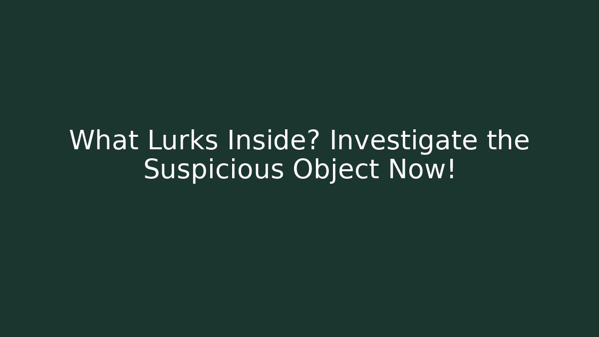 What Lurks Inside? Investigate the Suspicious Object Now!
