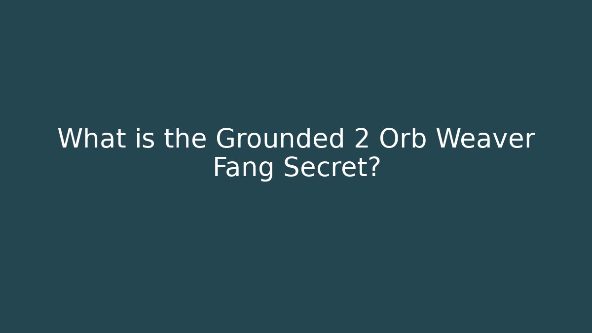 What is the Grounded 2 Orb Weaver Fang Secret?