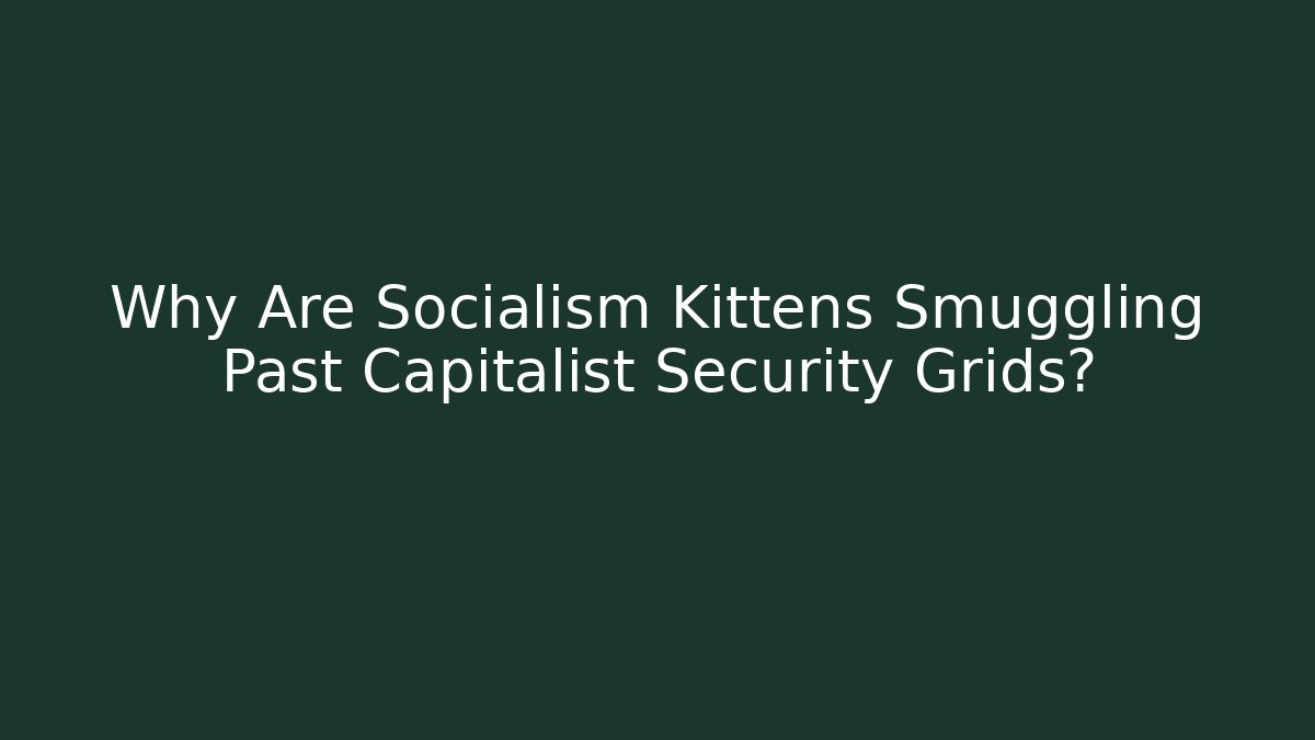 Why Are Socialism Kittens Smuggling Past Capitalist Security Grids?
