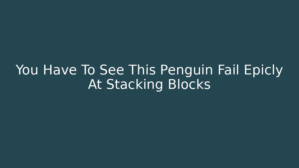 You Have To See This Penguin Fail Epicly At Stacking Blocks