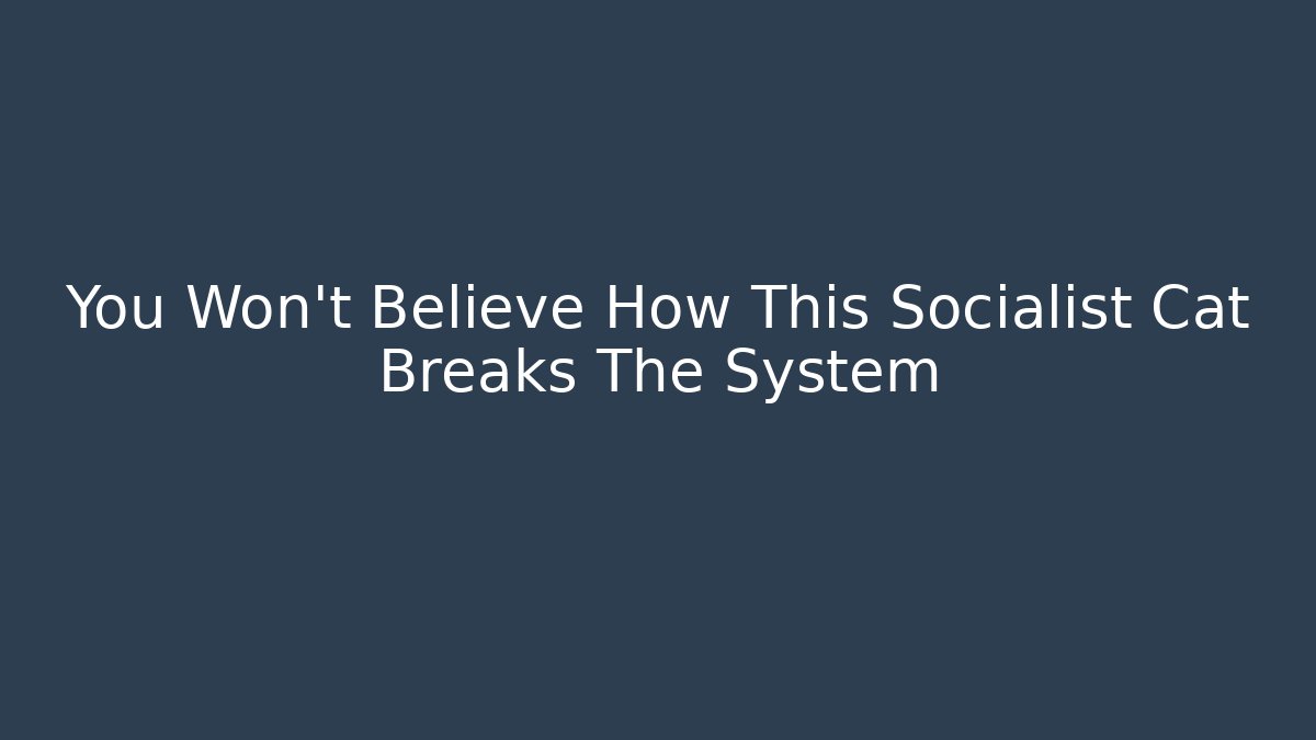 You Won’t Believe How This Socialist Cat Breaks The System